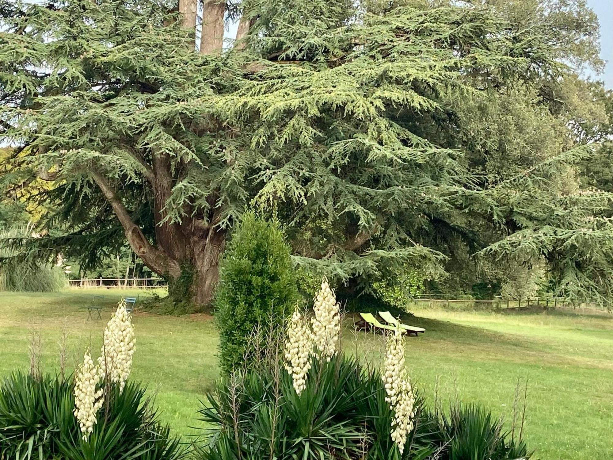 Chateau La Bainerie Tierce Luaran gambar